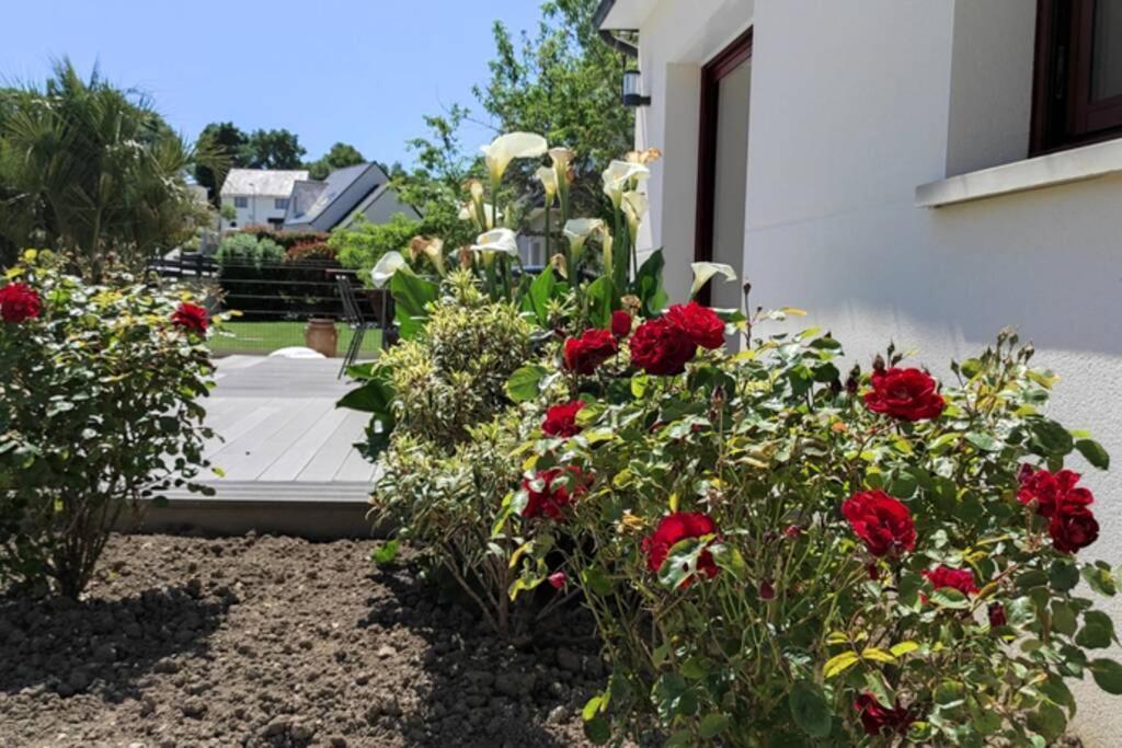 ✪ Sur la route des plages - Maison pour 8 pers. ✪ Auray Extérieur photo